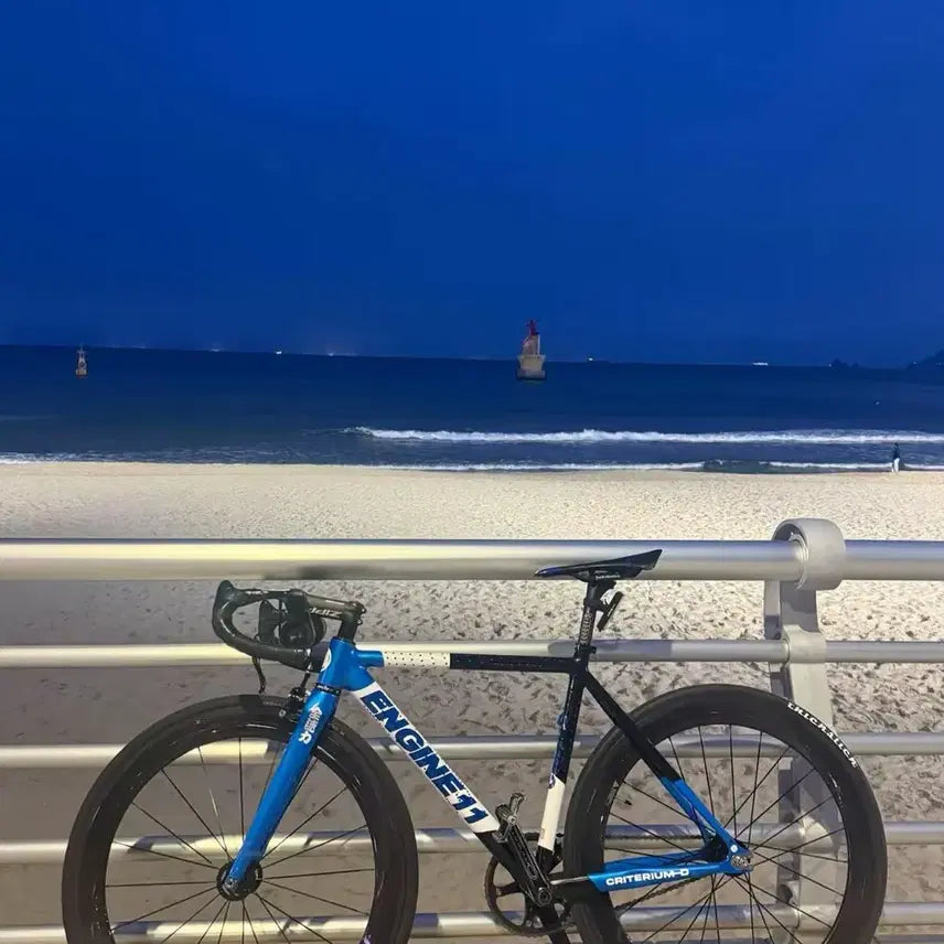 [BUNJANG] Blue Skin Frame Size S / 블루스킨 프레임 판매