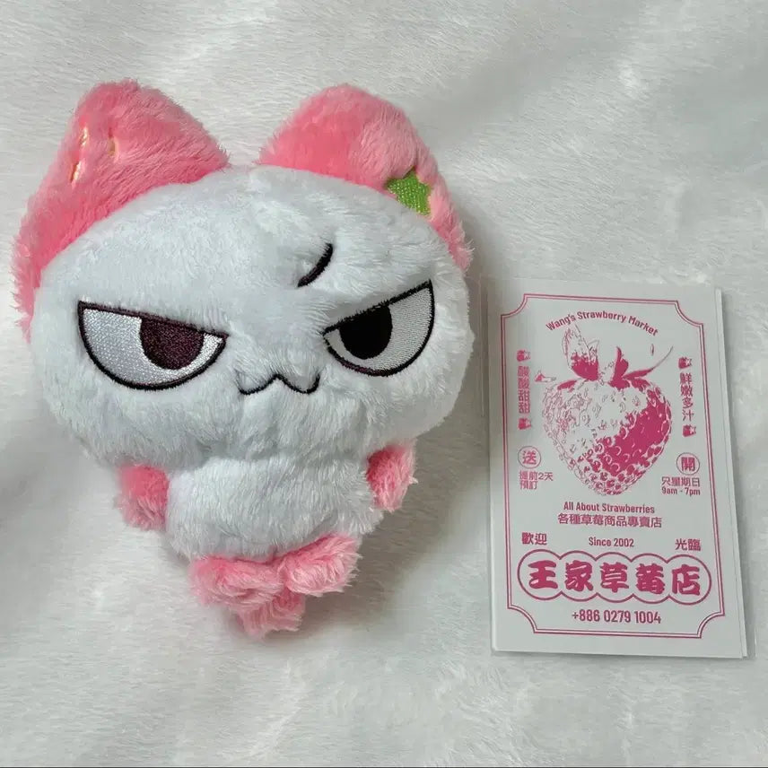 [BUNJANG]  &TEAM Nicholas 12cm Plush Doll (Shang Mei) / 앤팀 니콜라스 12cm 인형 샹샹메이