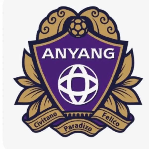 [BUNJANG] FC Anyang Apparel Set / FC안양 옷 세트 모음
