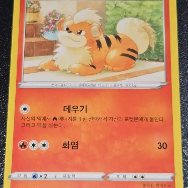 [BUNJANG] Pokemon Card Gardie 012/100 / 포켓몬 카드 가디 012/100