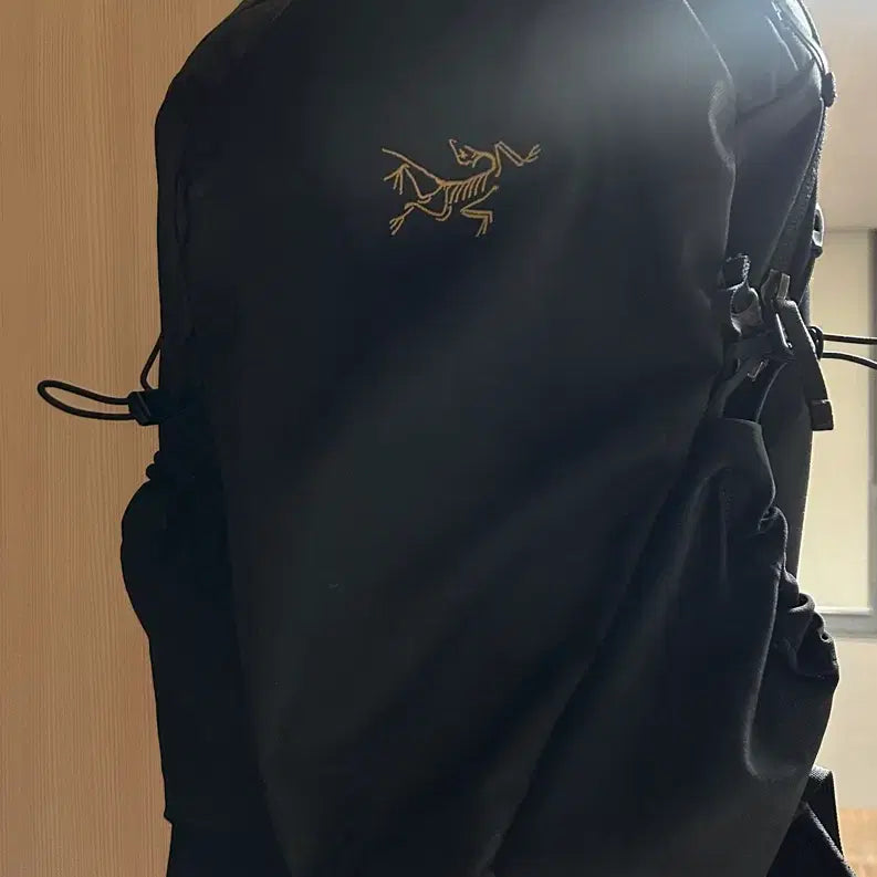 [BUNJANG] Arc'teryx Mantis 16 Backpack Black / 아크테릭스 맨티스 16백팩 블랙