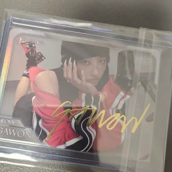 [BUNJANG] Teleca Miyau Gaeun Signed Card / 테레카 teleca 미야오 가원 사인 카드 팝니다.