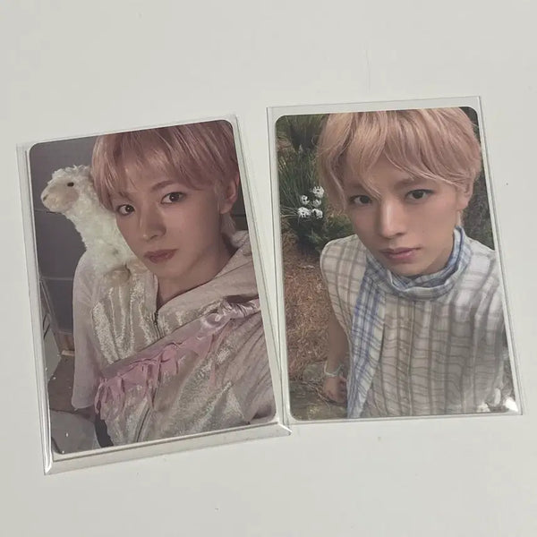 [BUNJANG] NCT Wish Osaki Yuu Photocard Bundle Set / [당일발송] 엔시티 위시 오드투러브 유우시 빅스미니, 스미니 포카 일괄