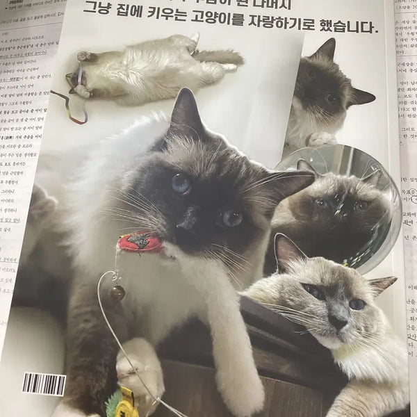 [BUNJANG] Yushin Cine Literature/Reading Comprehension Study Books / 유신 시네 N제 문학/독서