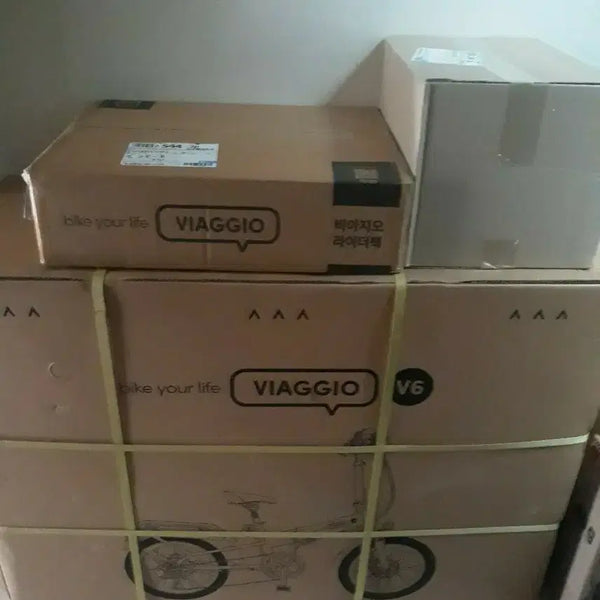 [BUNJANG] Biagio Electric Bicycle V5 Model / 비아지오 전기자전거