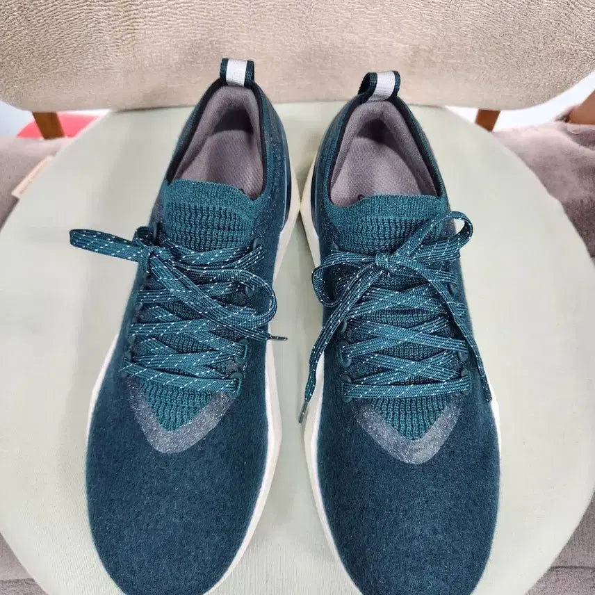 [BUNJANG] Allbirds Men's Sneakers M7 (250) / 올버즈 남성 스니커즈 M7( 250)