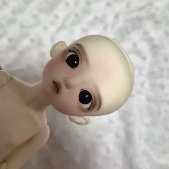 [BUNJANG] Luts Madeleine Doll Friend / 구체관절인형