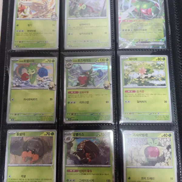 [BUNJANG] THE ARENA Full Set (63 cards) Bundle Set / 열풍의아레나 일반카드 전종 63장 일괄