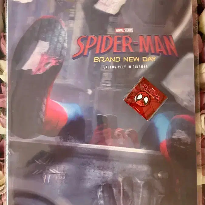[BUNJANG] Spider-Man 3D Lenticular Poster with Badge / 스파이더맨 3D 렌티큘러 포스터 (뱃지 함께)
