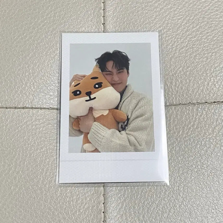 [BUNJANG] DAY6 Young K Photocard / 데이식스 영케이 포카 양도 판매