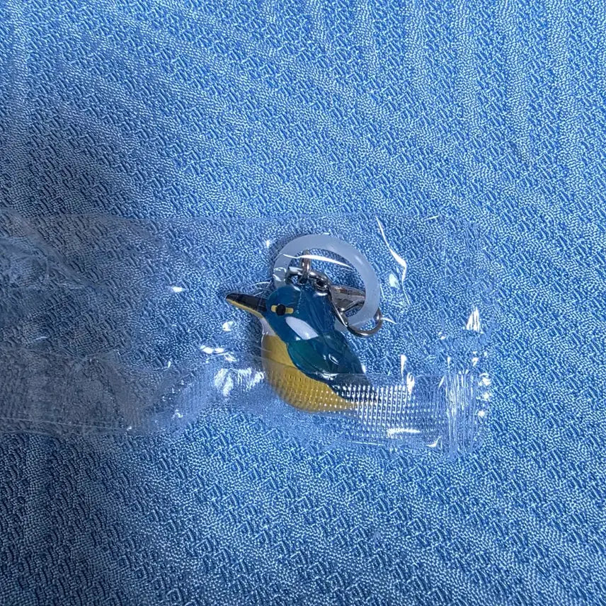 [BUNJANG] Kingfisher Keychain / 물총새 메지루시 키링