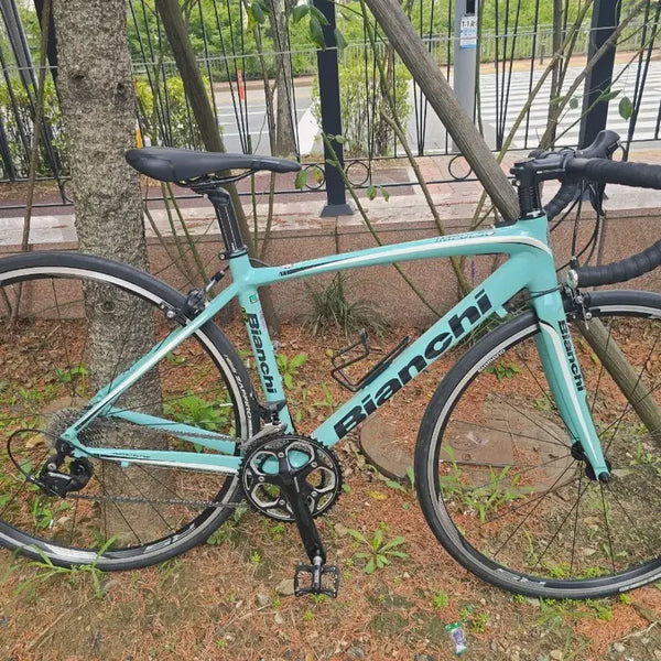 [BUNJANG] Bianchi Infinito 105 Road Bicycle / 비앙키 임풀소 105급 로드 싸게 팔아요~!