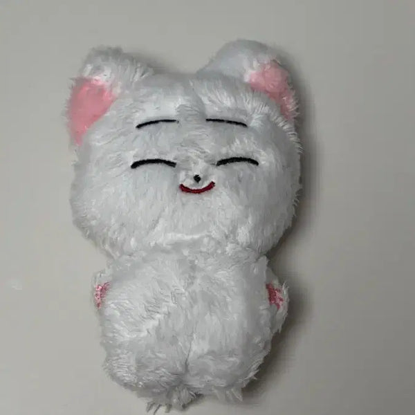 [BUNJANG] ENHYPEN Sunoo Korean Plush Doll / 엔하이픈 선우 한국폭 인형