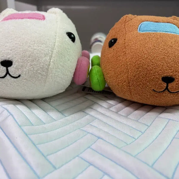 [BUNJANG] Morucca Capybarasan Collaboration Plush Bundle Set / 모루카 카피바라상 콜라보 인형 일괄로만