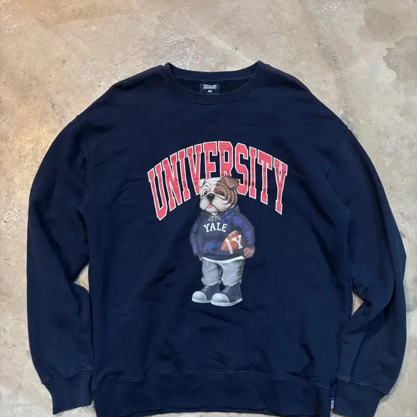[BUNJANG] Yale University Big Logo Sweatshirt / 예일 빅로고 스웻셔츠
