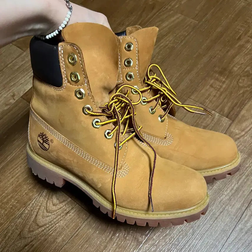 [BUNJANG] Timberland Premium 6-Inch Boot Size 250 / 팀버랜드 프리미엄 6인치 워커 부츠 250