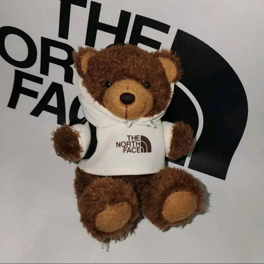 [BUNJANG] The North Face Teddy Bear Keychain / 노스페이스 베어 키링인형