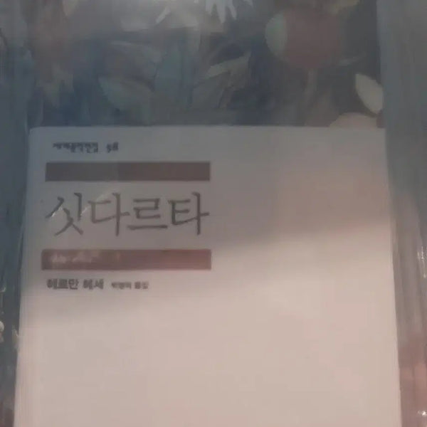 [BUNJANG] Siddhartha Miniature Book Keychain (Mint Condition) / 싯다르타 민음사 미니어처 북 키링 판매