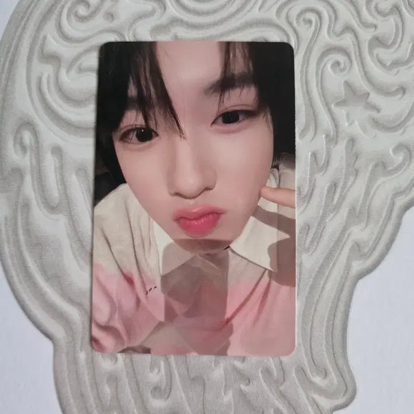 [BUNJANG] NCT WISH Sakuya Photocard / 엔시티위시 사쿠야 포토카드 양도