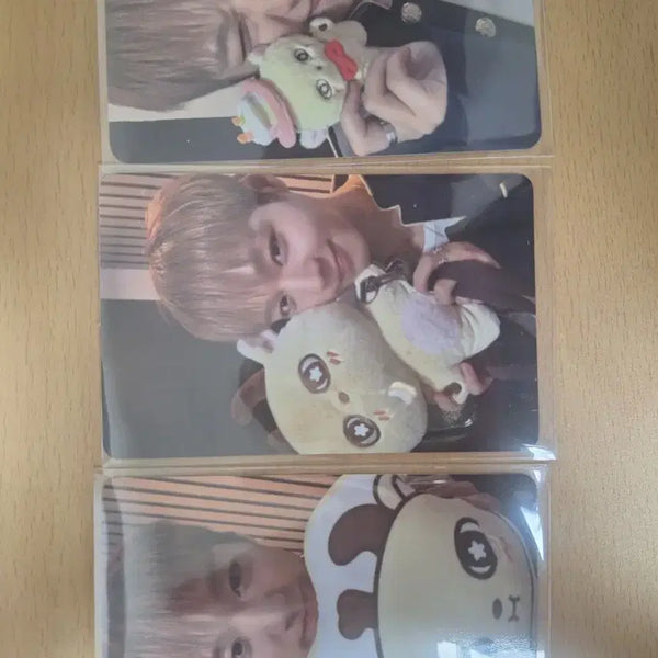 [BUNJANG] Park Ji Hoon 'Sosimi' Photocard (POB) / 박지훈 소심이 포카(5만원이상 특전포카)