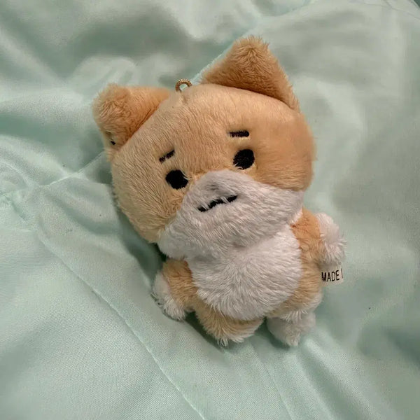 [BUNJANG] DAY6 Young K Kkangeuni Doll / 데이식스 영케이 인형 깡냥이
