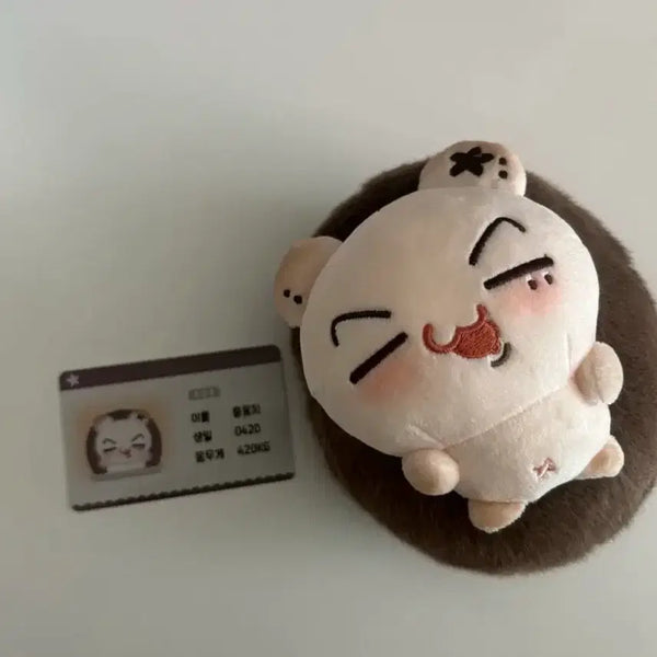 [BUNJANG] ENHYPEN Jay Jjongmong Doll / 엔하이픈 제이 쫑몽치 인형 양도(+입양증