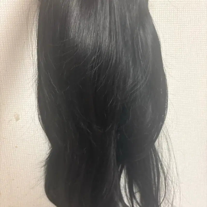 [BUNJANG] Long Wig / 가발