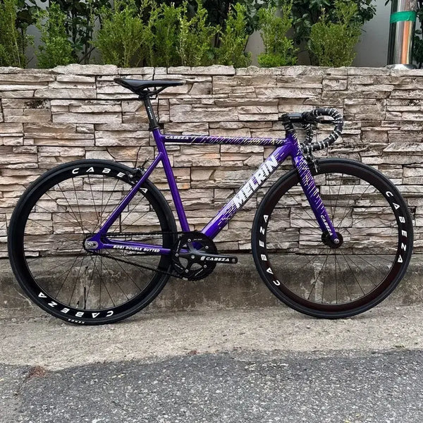 [BUNJANG] Cinelli Meline Pixie Bicycle Frame / 카베자 멜린 픽시 자전거 프레임