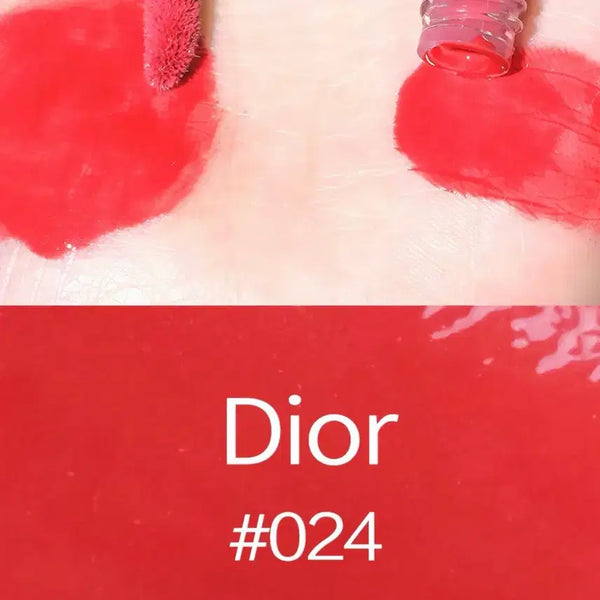 [BUNJANG] Dior Addict Lip Maximizer 024 Intense Brick / 디올 맥시마이저 024 인텐스브릭 새제품