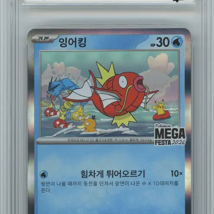 [BUNJANG] Pokemon Magikarp Promo Card BRG 9 / 포켓몬카드 잉어킹 프로모 BRG9
