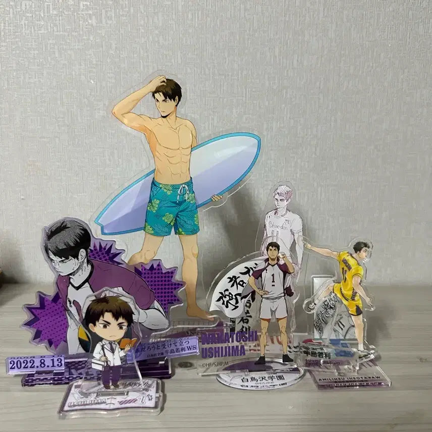 [BUNJANG] Haikyuu!! Ushijima Wakatoshi Bundle Set / 우시지마 굿즈 일괄판매