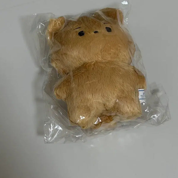 [BUNJANG] The Boyz Hyunjae Doll 'DalGom' (Unsealed) / 더보이즈 현재 비공굿 인형 달곰
