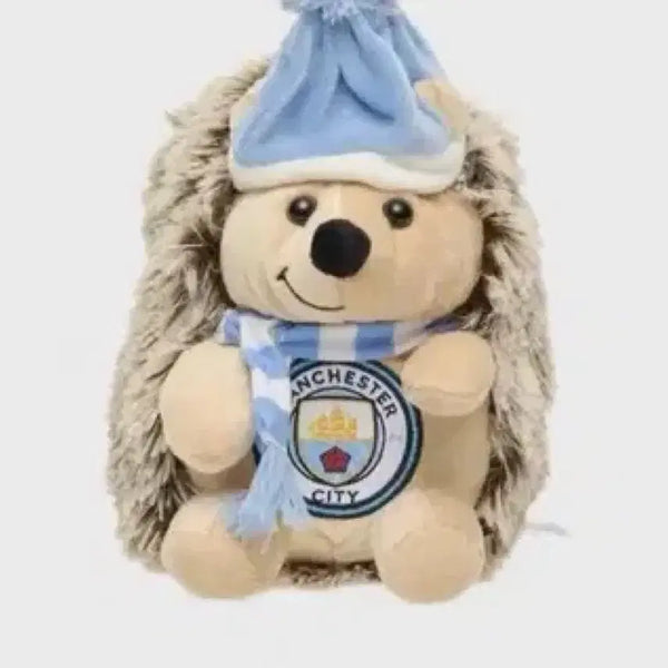 [BUNJANG] Manchester City Hedgehog Mascot Plush / 맨시티 고슴도치 인형 마스코트 굿즈 맨체스터 시티