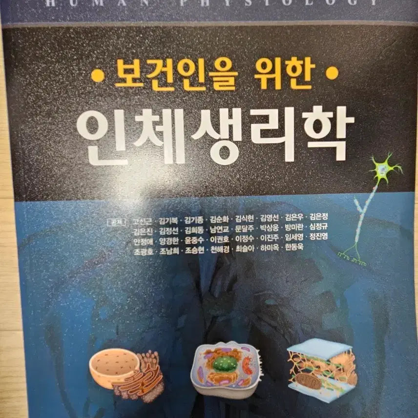 [BUNJANG] Human Physiology Textbook for Health Professionals / 의학교육 보건인을 위한 인체생리학
