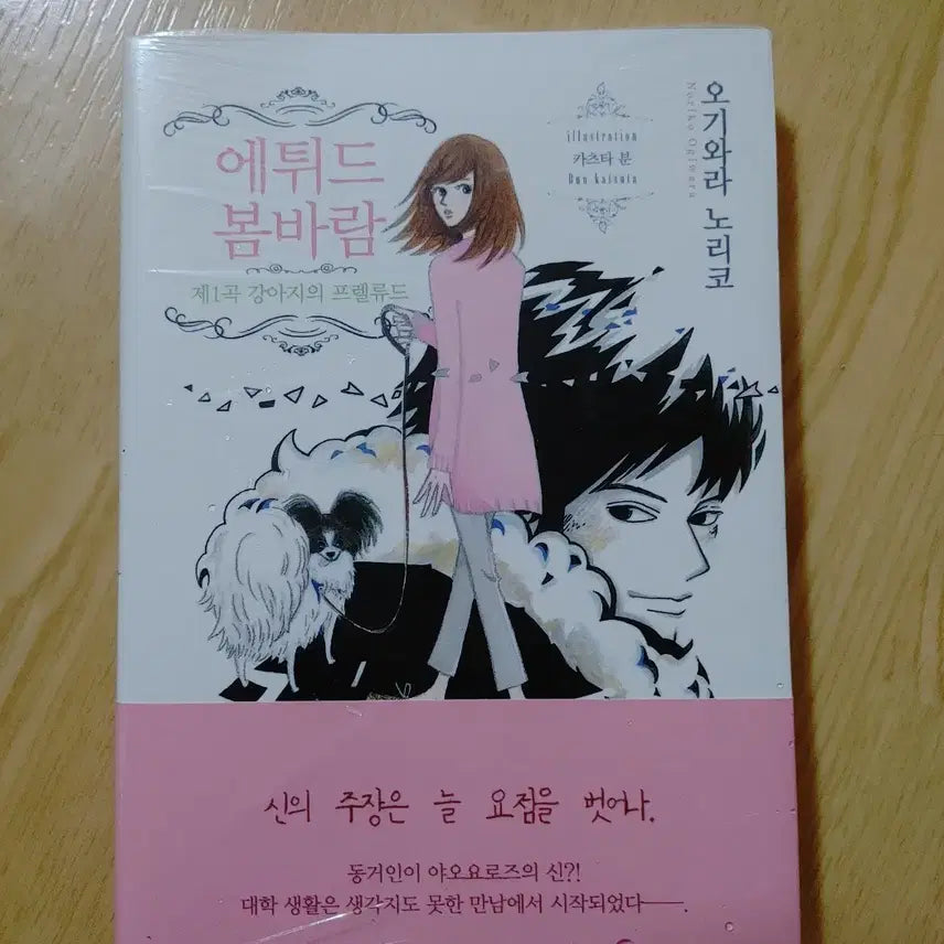 [BUNJANG] Etude "Spring Breeze" Japanese Novel / 에튀드 봄바람 일본 소설 도서 책
