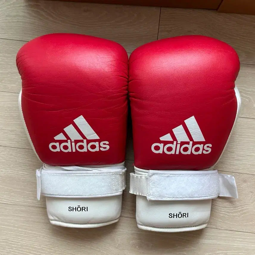 [BUNJANG] Adidas 14oz Sparring Gloves / 아디쇼리 글러브 14oz