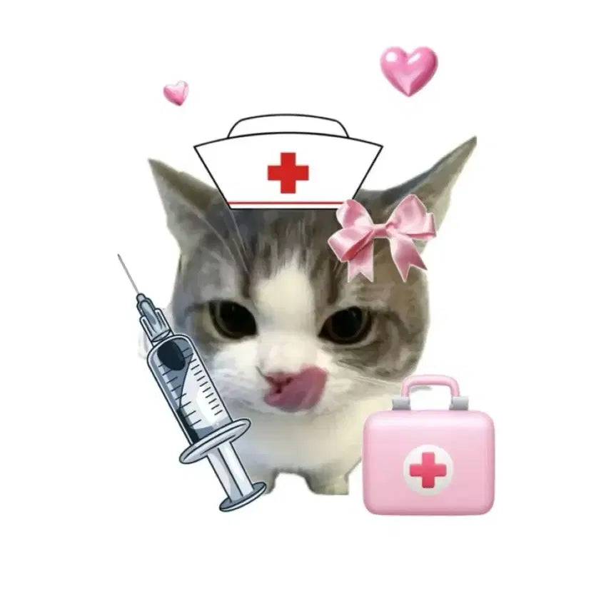 [BUNJANG] Study Guide for 2027 National Medical Examination / 2027 국시 대비 문제집 구합니당