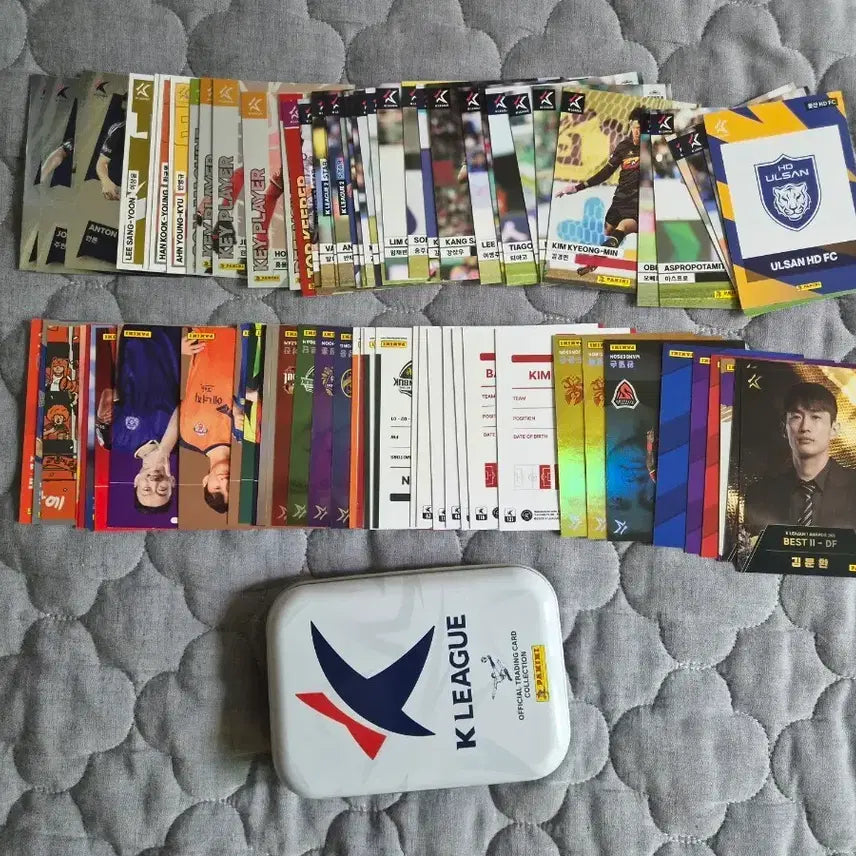 [BUNJANG] K League Panini Card Bundle Set / K리그 파니니 카드