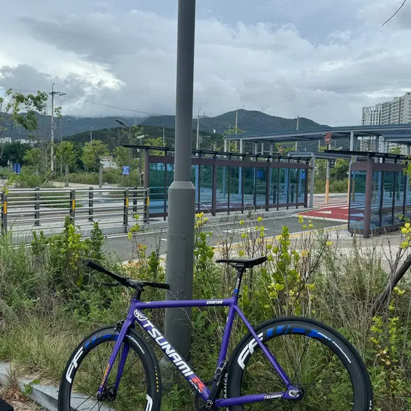 [BUNJANG] Tsunami Purple Bicycle Frame (Medium Size) / 쓰나미 보라색