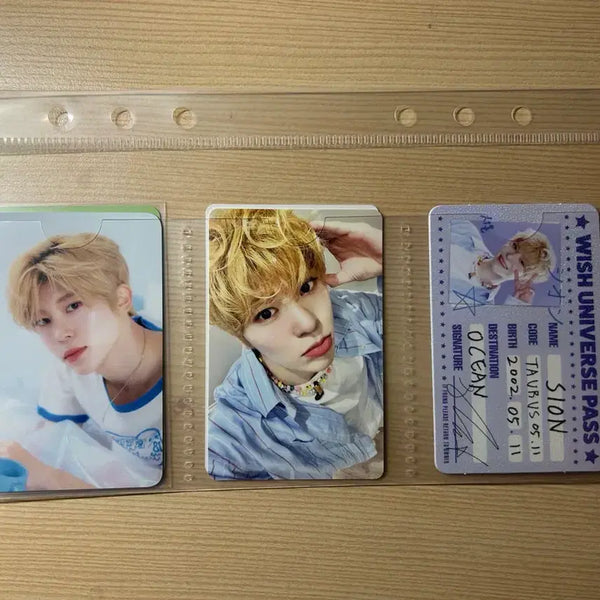 [BUNJANG] NCT WISH Sion 5 Types Bundle Set Photocard / NCT WISH 시온 포카 5종 일괄