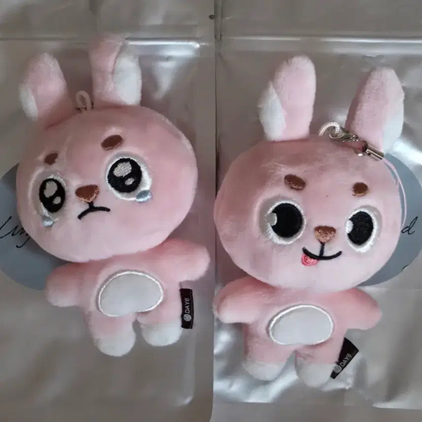 [BUNJANG] DAY6 Wonpil Unfiltered Random Keyring Bundle Set / 언필터드 원필 랜덤키링 뿌엥필 메롱필 일괄판매