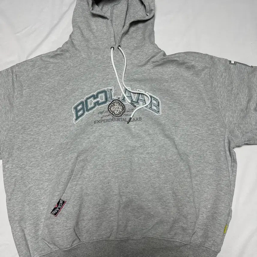 [BUNJANG] Gray Hoodie / 회색 후드티