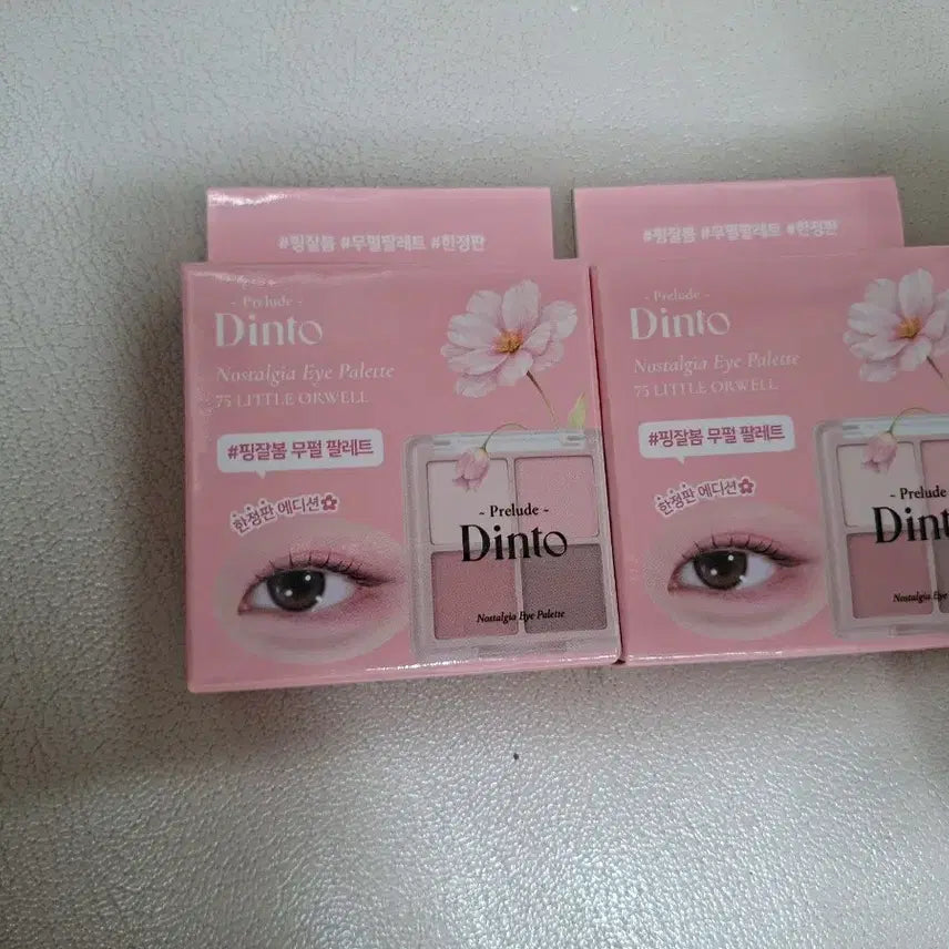 [BUNJANG] Daiso Dinto Limited Edition Eye Palette / 다이소 딘토 한정판 아이팔레트