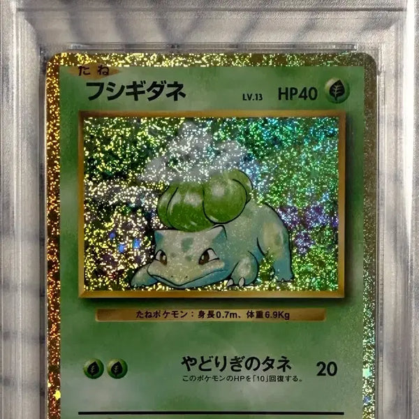[BUNJANG] Pokémon Classic Bulbasaur PSA 10 / 일판 포켓몬카드 클래식 이상해씨 PSA 10