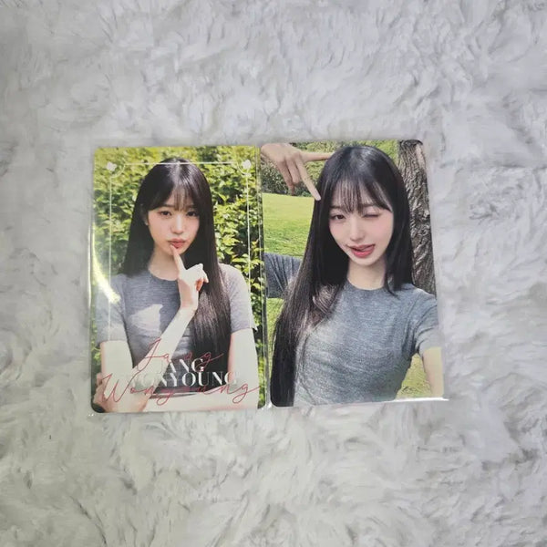 [BUNJANG] IVE Wonyoung Photocard / 디아이콘 원영 포카