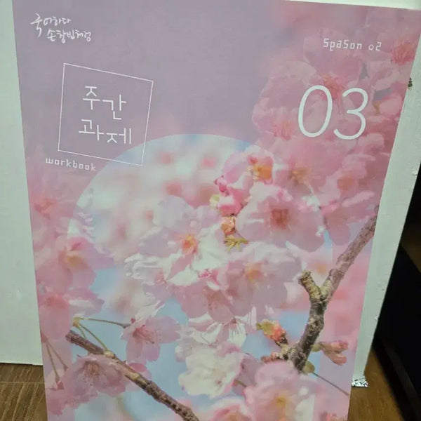 [BUNJANG] Son Chang-bin Korean Language Study Set for 2026 CSAT Preparation / 2026 수능대비  국어 손창빈 시대인재 총 4세트
