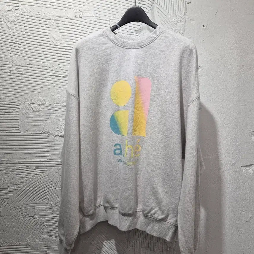 [BUNJANG] Atelier Vanessa Bruno Sweatshirt / 아떼바네사브루노 맨투맨티