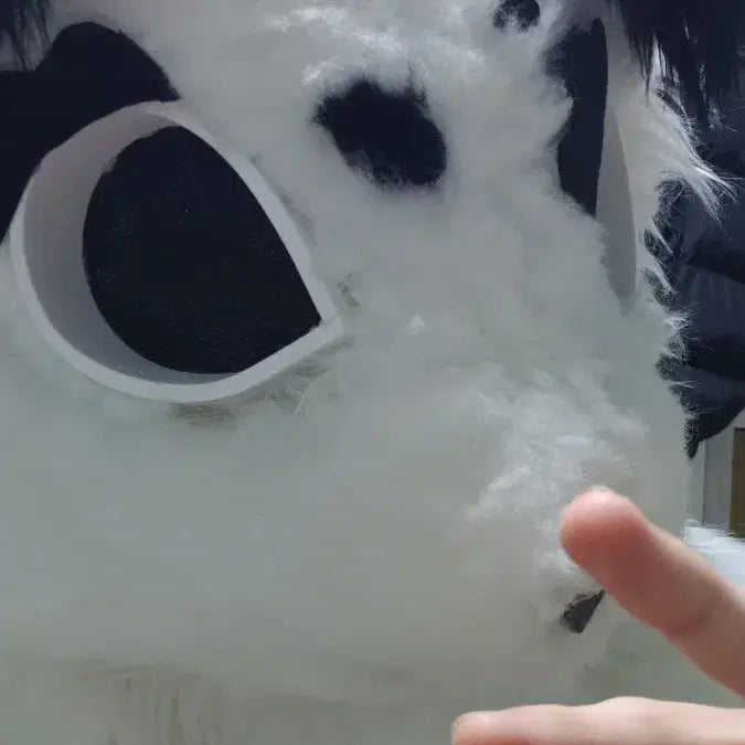 [BUNJANG] Persuit Fan / 퍼슈트 선풍기 찾아요