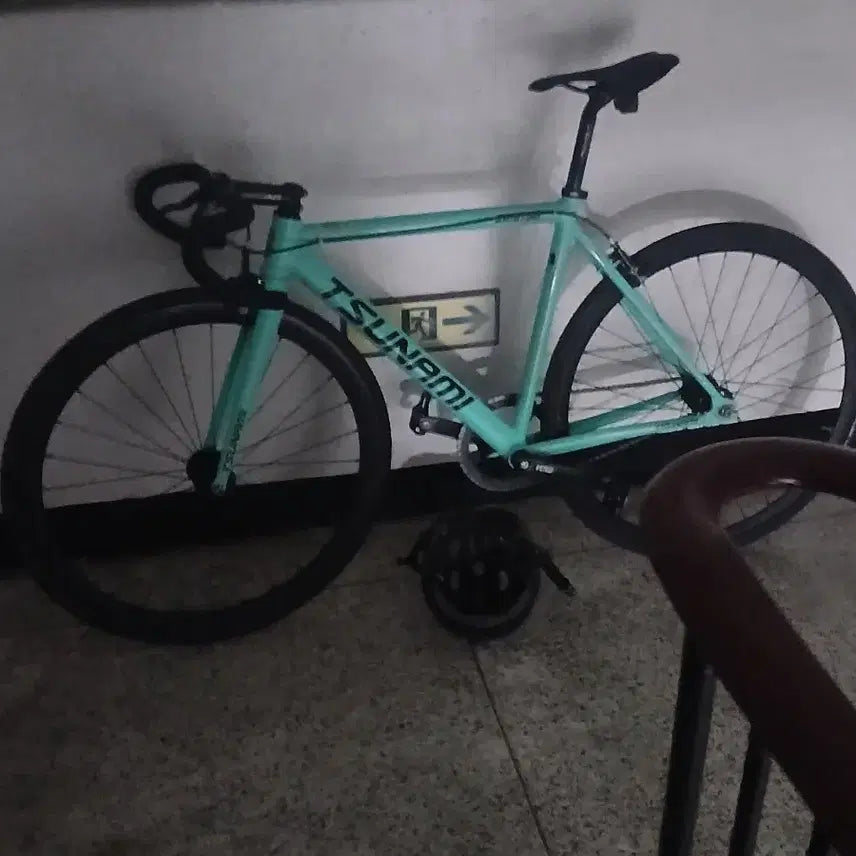 [BUNJANG] Ridersway Custom Fixed Gear Bike / 민트쓰나미 판/대
