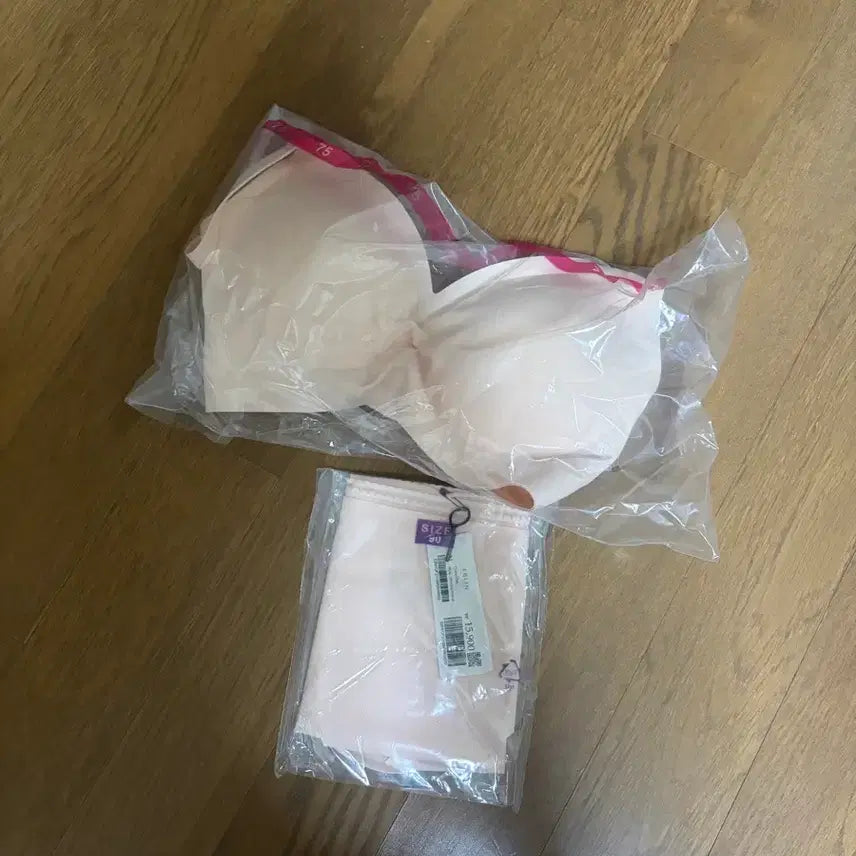 [BUNJANG] EBLIN Seamless Silhouette Bra & Panty Set / 에블린 심리스 실루엣 브라팬티 세트